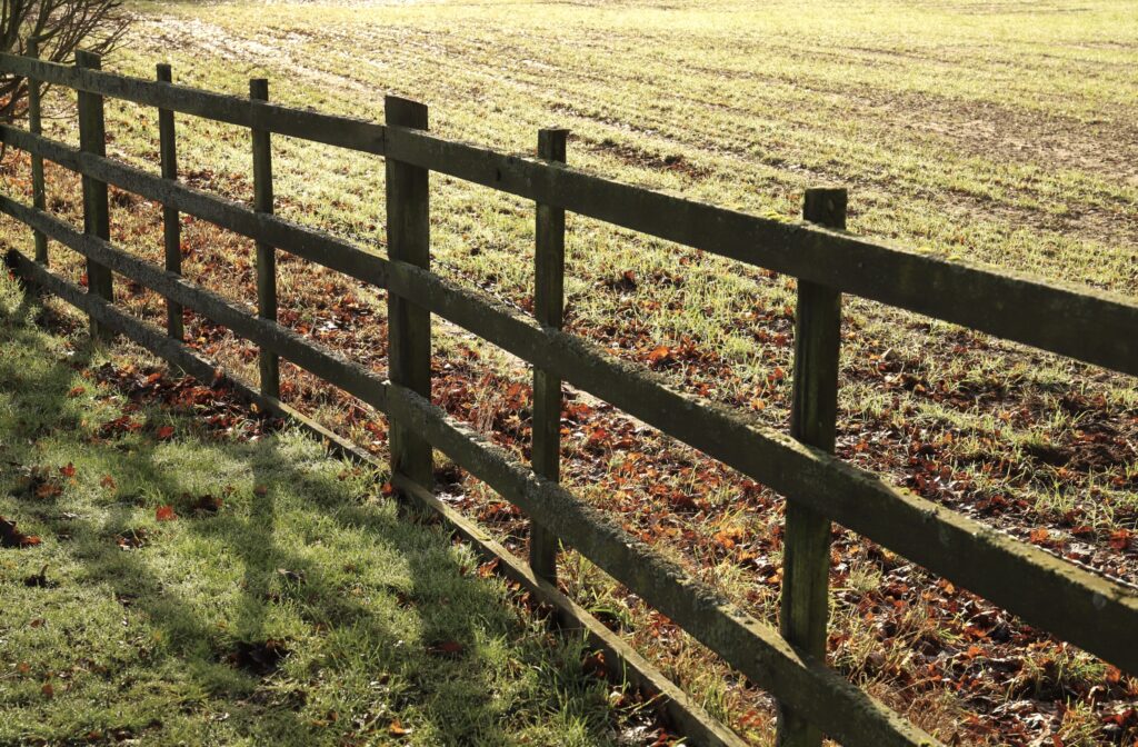 Wooden fence running alongside a sunlit field, representing steady, sustainable visibility.