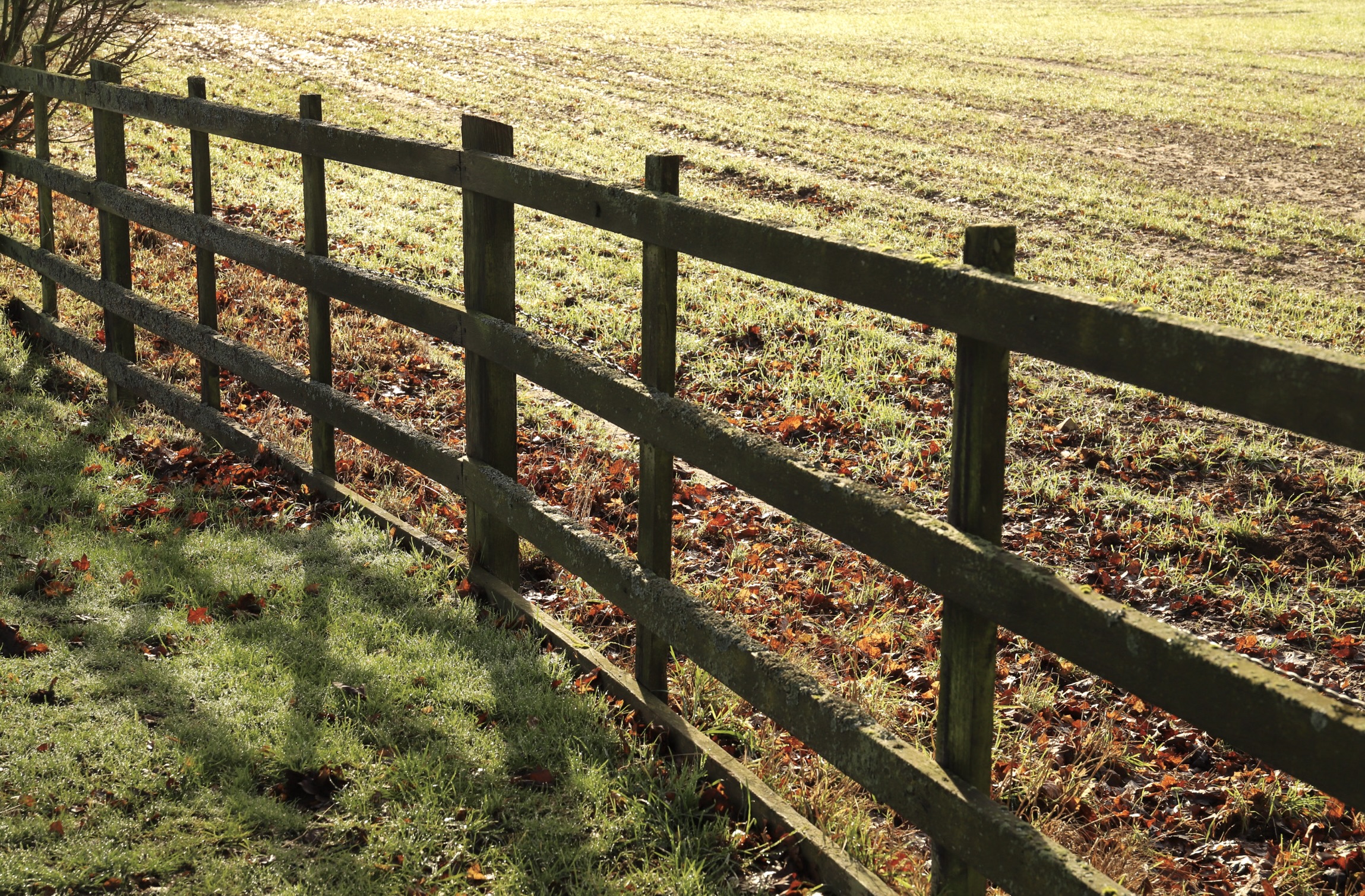 Wooden fence running alongside a sunlit field, representing steady, sustainable visibility.