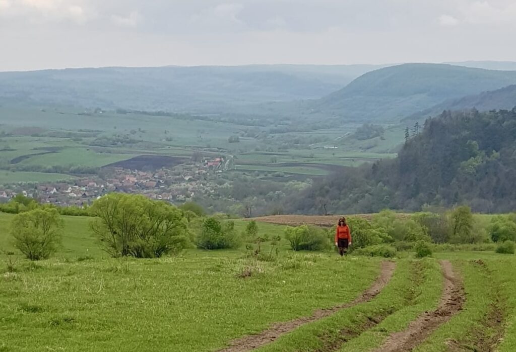 Person walking along green countryside tracks overlooking a wide valley landscape