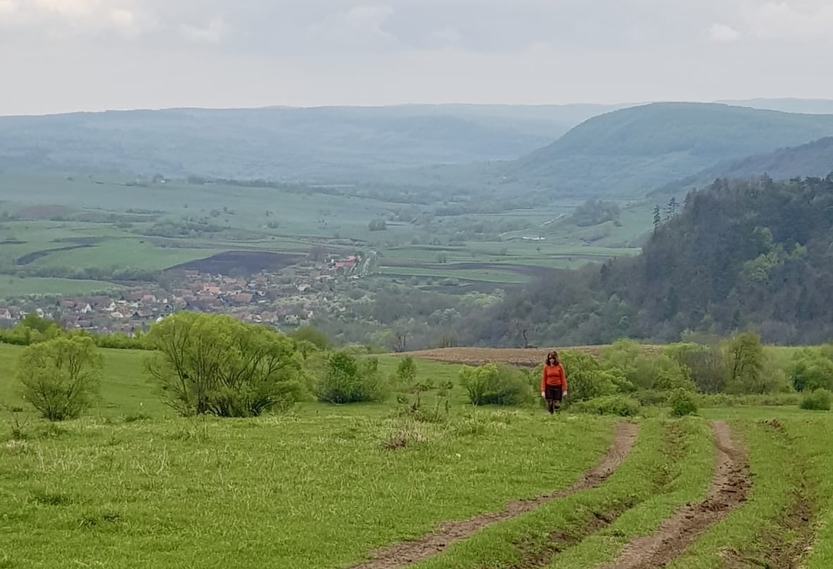 Person walking along green countryside tracks overlooking a wide valley landscape